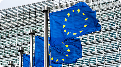 La sentenza dell'Antitrust europeo nel 2013